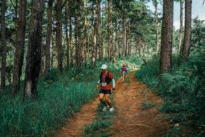 BIB: 
                            <button type="button" onclick="openModal(25744800)" class="btn btn-primary btn-sm float-right btn-popup" data-toggle="modal" data-target=".modal-high-quality">
                        <i class="fas fa-shopping-cart"></i> Add to Cart
                    </button>
                                            <button type="button" onclick="isThisMe(25744800, true)" class="btn btn-success btn-sm float-right btn-popup btn-isme hidden" data-toggle="tooltip" data-placement="bottom" title="นี่คือรูปของคุณใช่ไหม คลิกที่นี่เพื่อเอาเข้าอัลบั้ม">
                        <i class="fas fa-plus"></i> Add to album
                    </button>
                    <button type="button" onclick="isThisMe(25744800, false)" class="btn btn-warning btn-sm float-right btn-popup btn-isnotme hidden">
                        <i class="fas fa-ban"></i> Remove from album
                    </button>